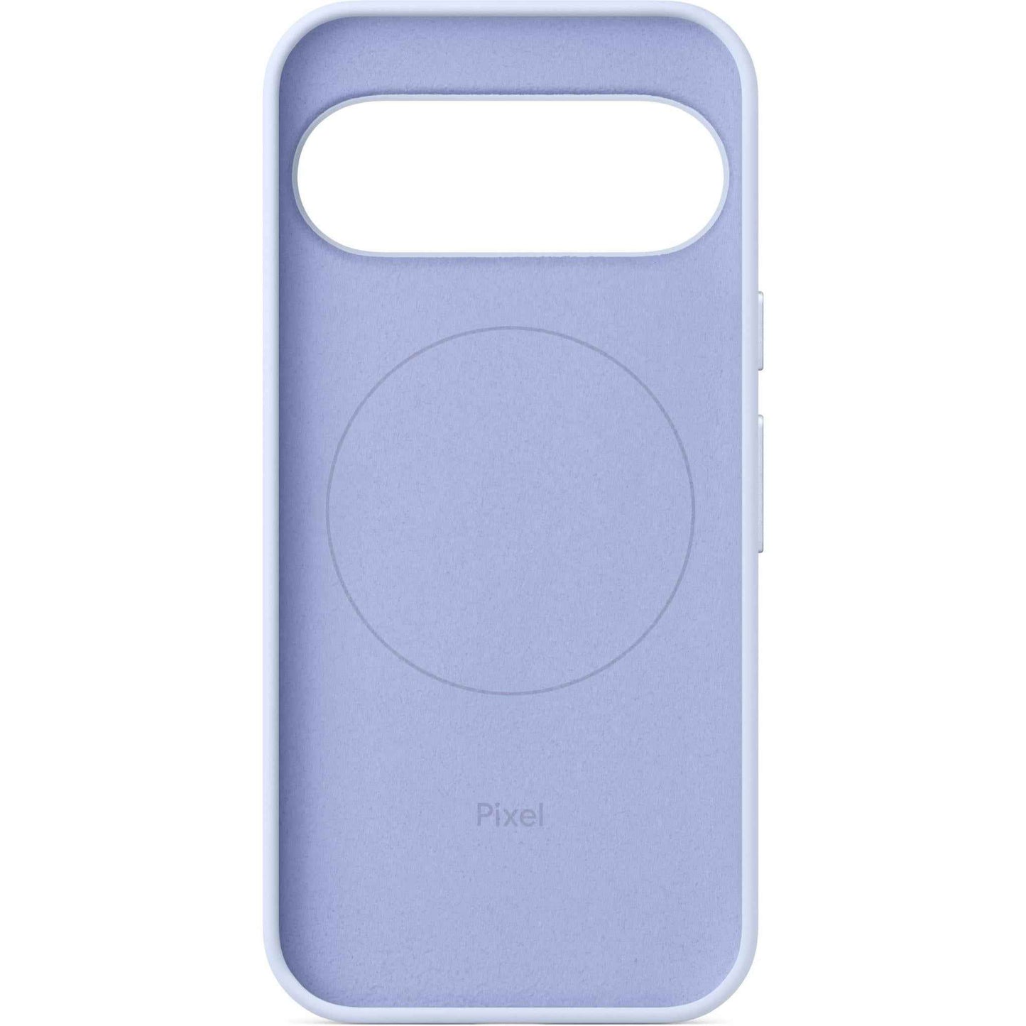 Google Pixelsnap Case for Pixel 10/10 Pro (Frost)