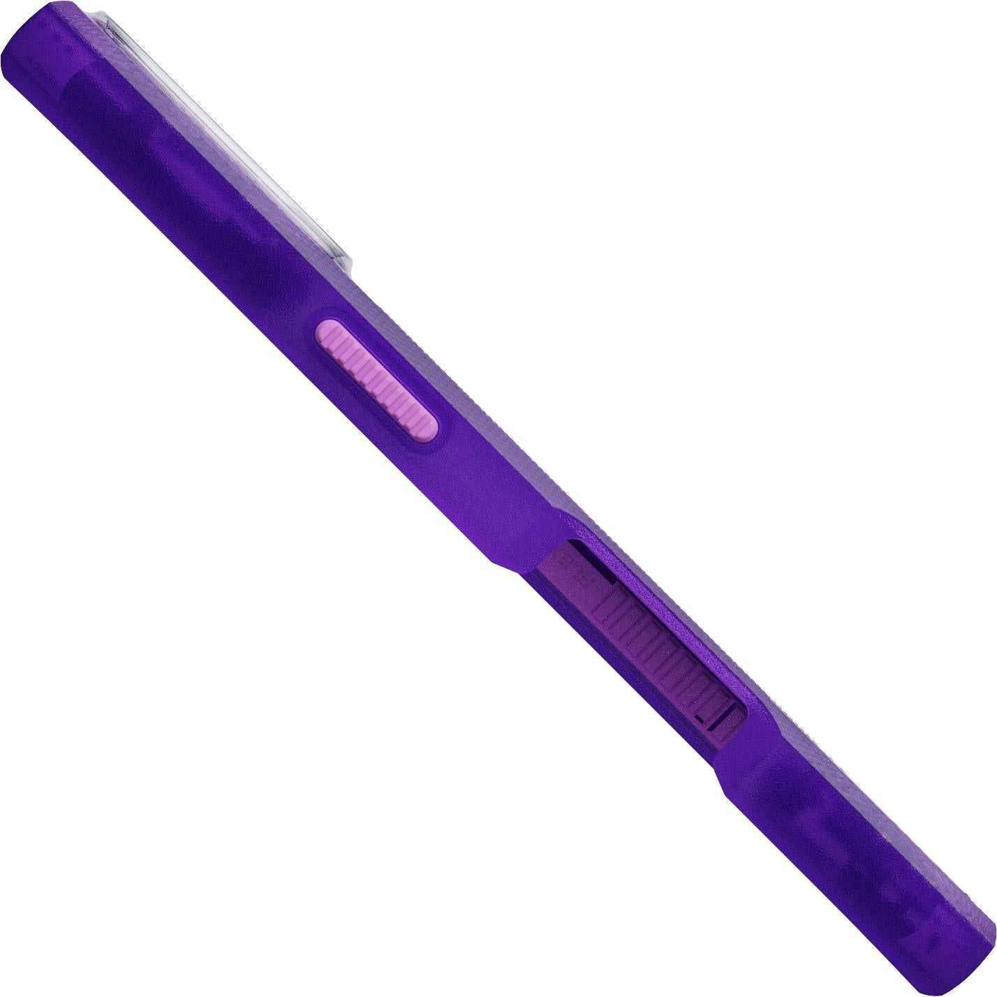 Tech21 EvoPro MagSafe Case for iPhone 17 (Purple/Pink)