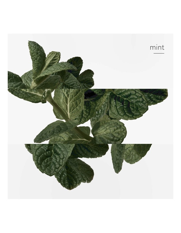 Eau d'Orange Verte Eau de Cologne 100ml