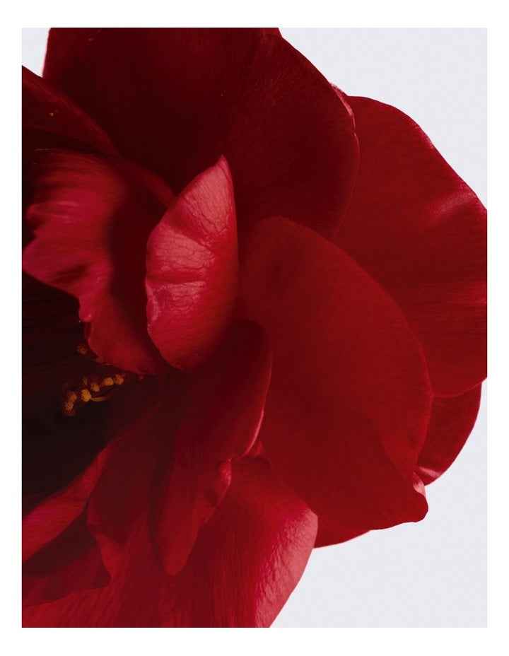 N°1 DE CHANEL L'EAU ROUGE Revitalising Fragrance Mist