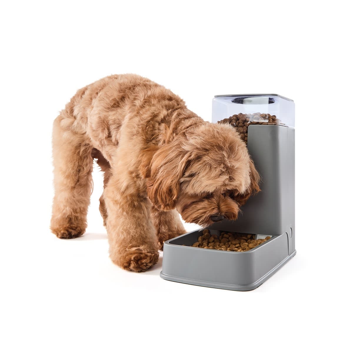 Pet Gravity Feeder Modern