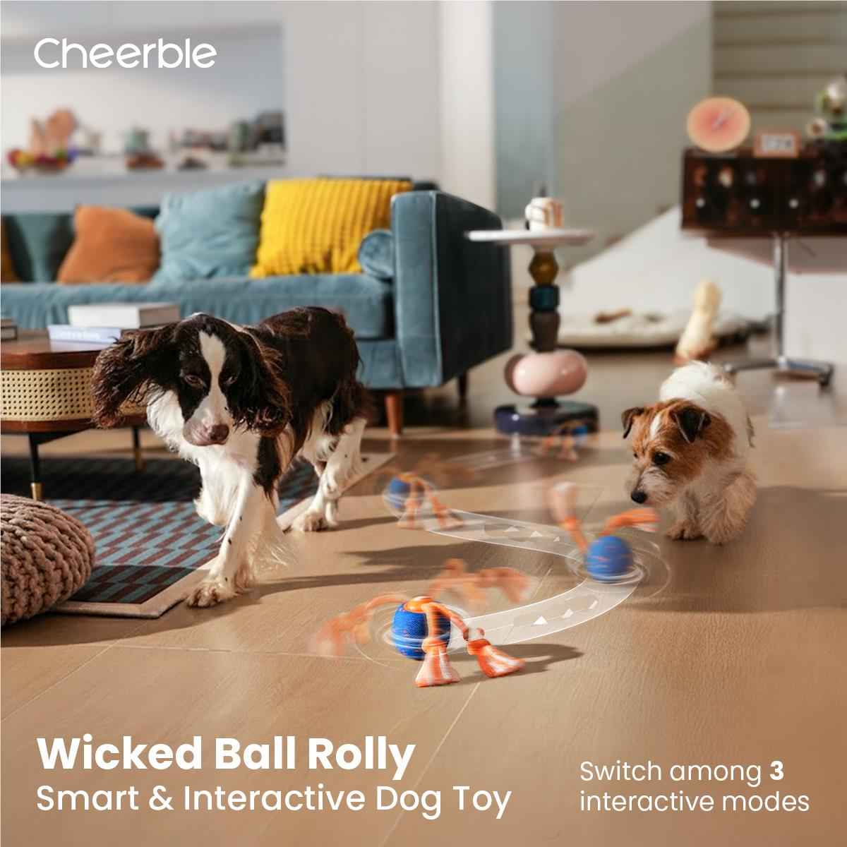 Cheerble Wicked Ball Rolly (Royal Blue)