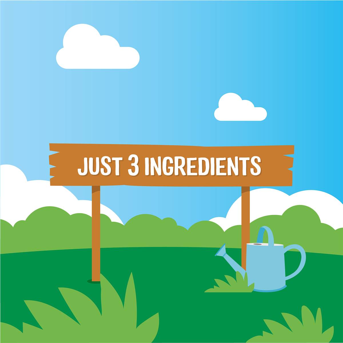 Rafferty's Garden Pea Pods 40g