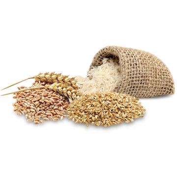 Trill Pet Lorikeet Mix 500g