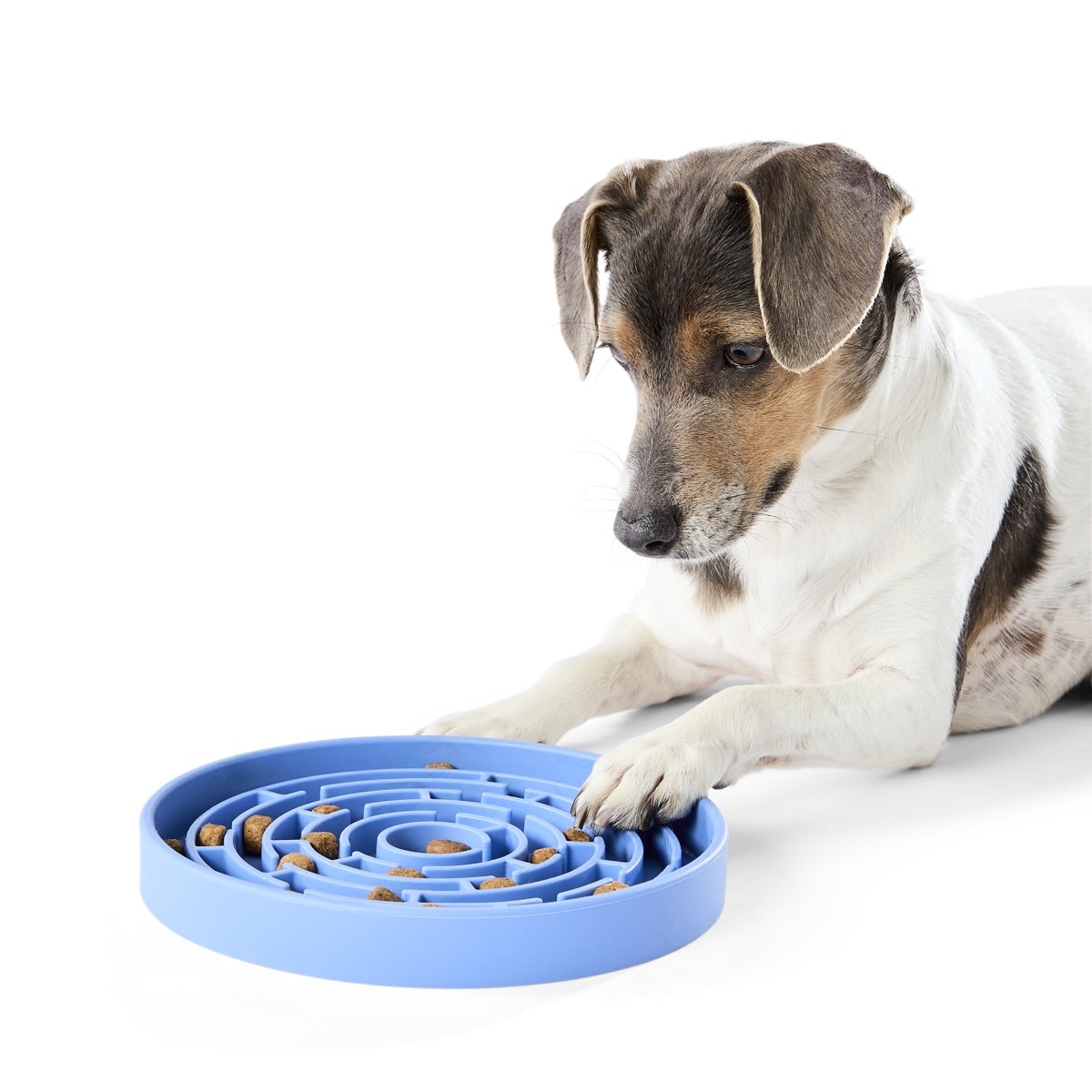 Pet Silicone Feeding Plate - Blue