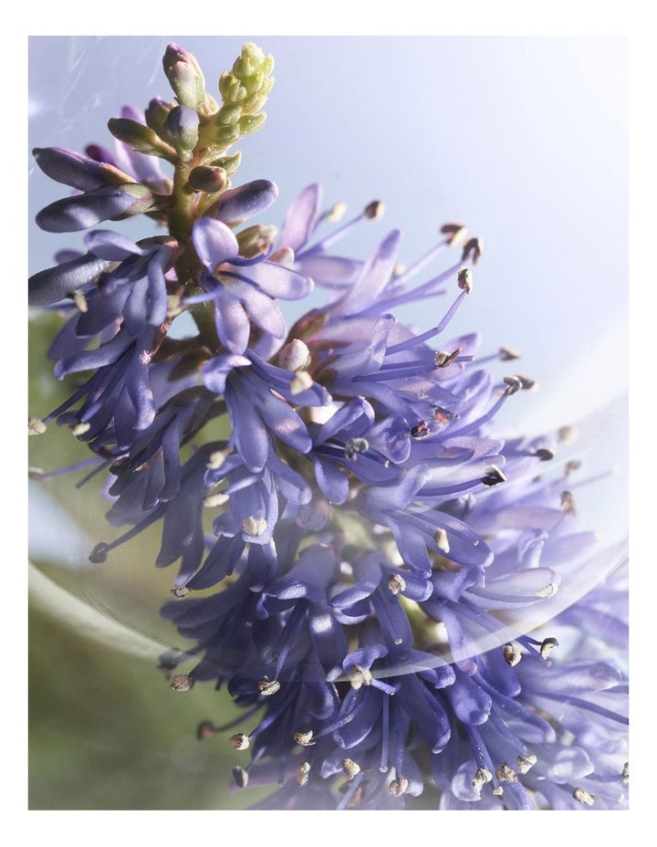 La Vie Est Belle Iris Infini Eau De Parfum