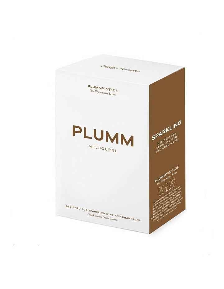 Vintage 2 Piece Sparkling Wine Glass Set in Clear