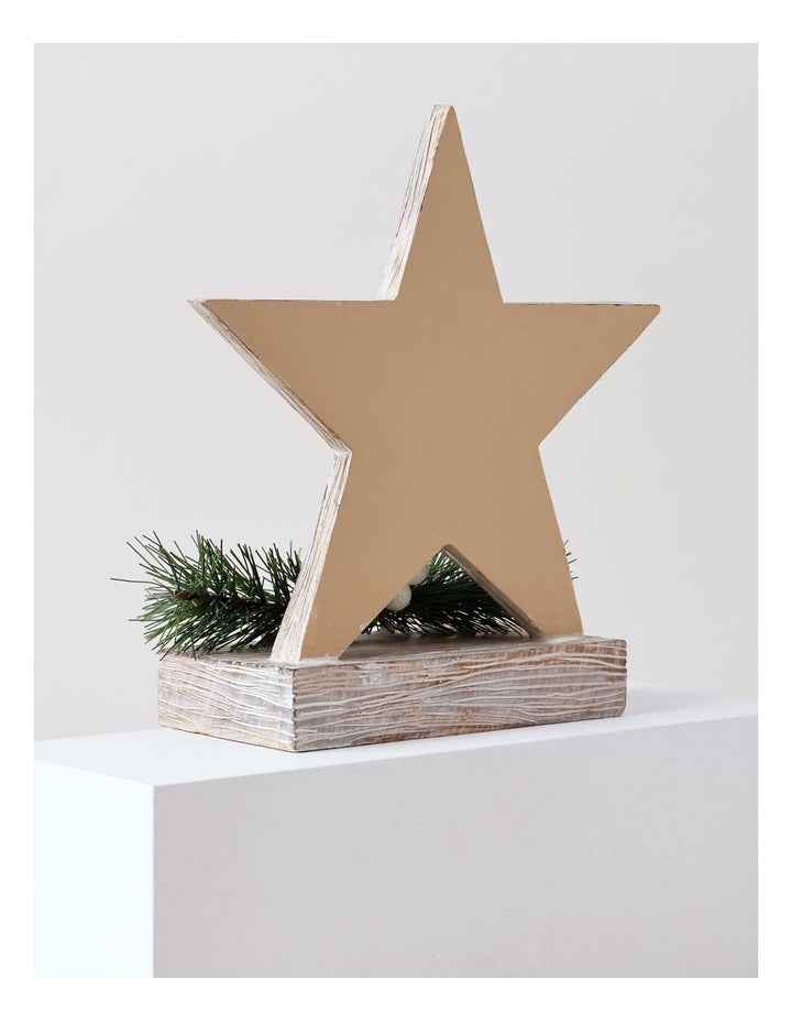 Eucalyptus Christmas White Washed Resin Star Stocking Holder 22cm in White