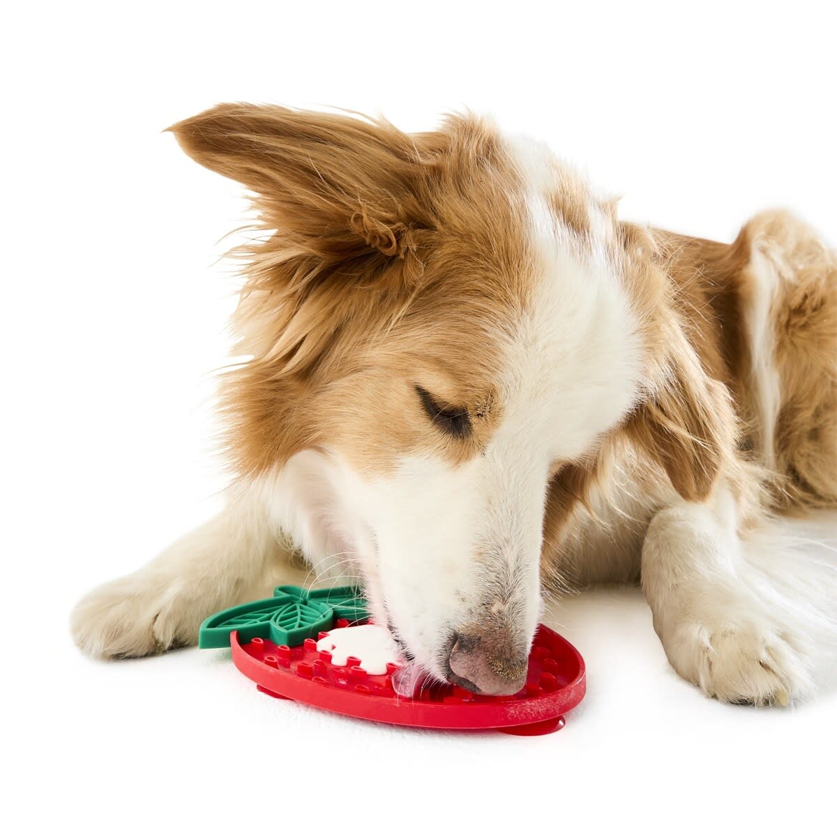 Novelty Pet Lick Mat - Assorted