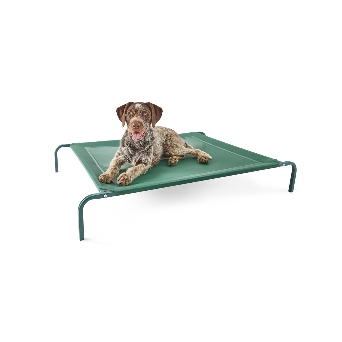 Pet Bed Elevated - Large