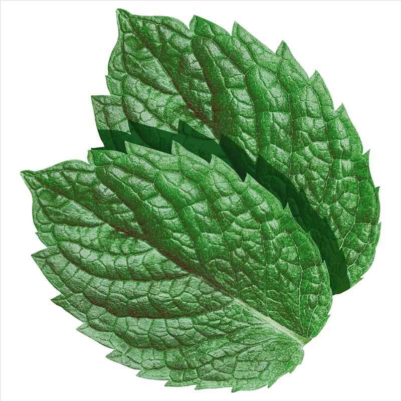 Wrigleys Extra Soft Chew Spearmint Bottle 67g