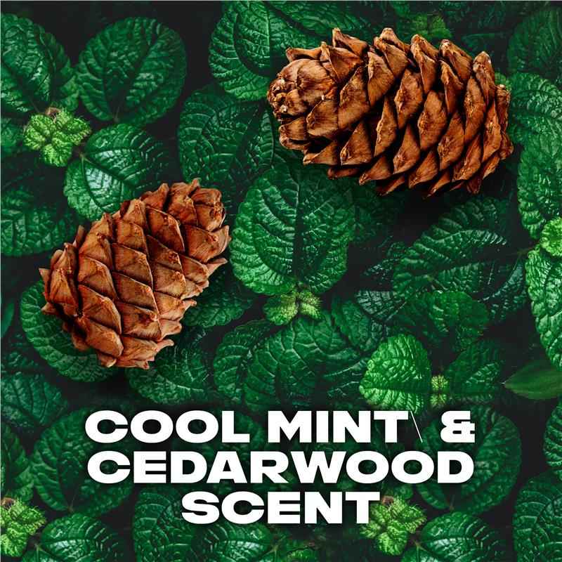 Lynx Deodorant Black Night 165ml