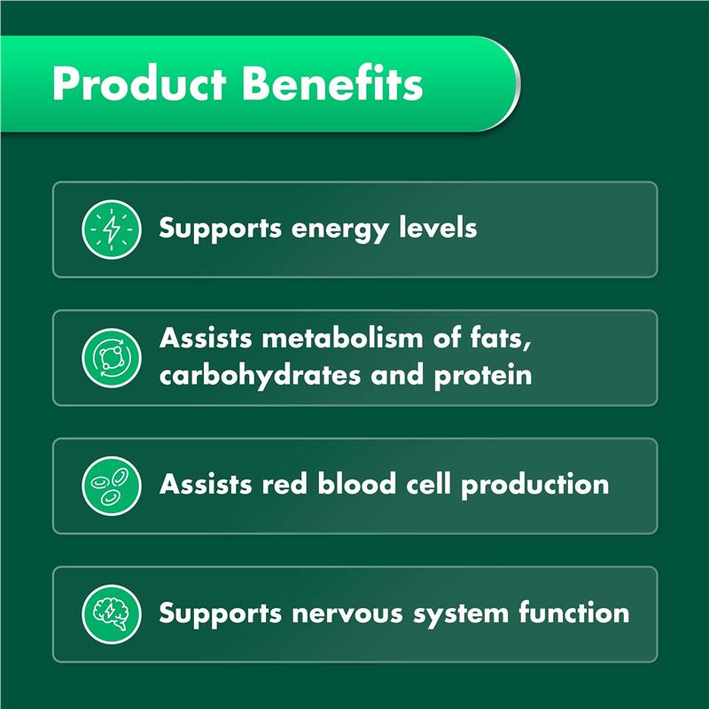Nature's Own High Strength Vitamin B12 1000mcg 120 Tablets Exclusive Size