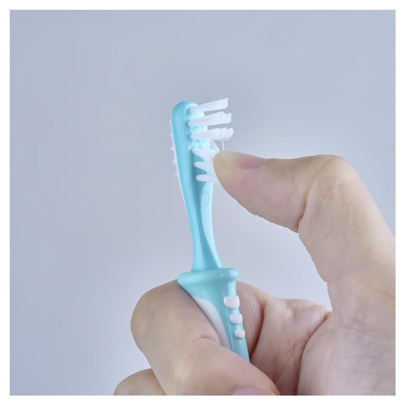 Pigeon Training Toothbrush Step 3