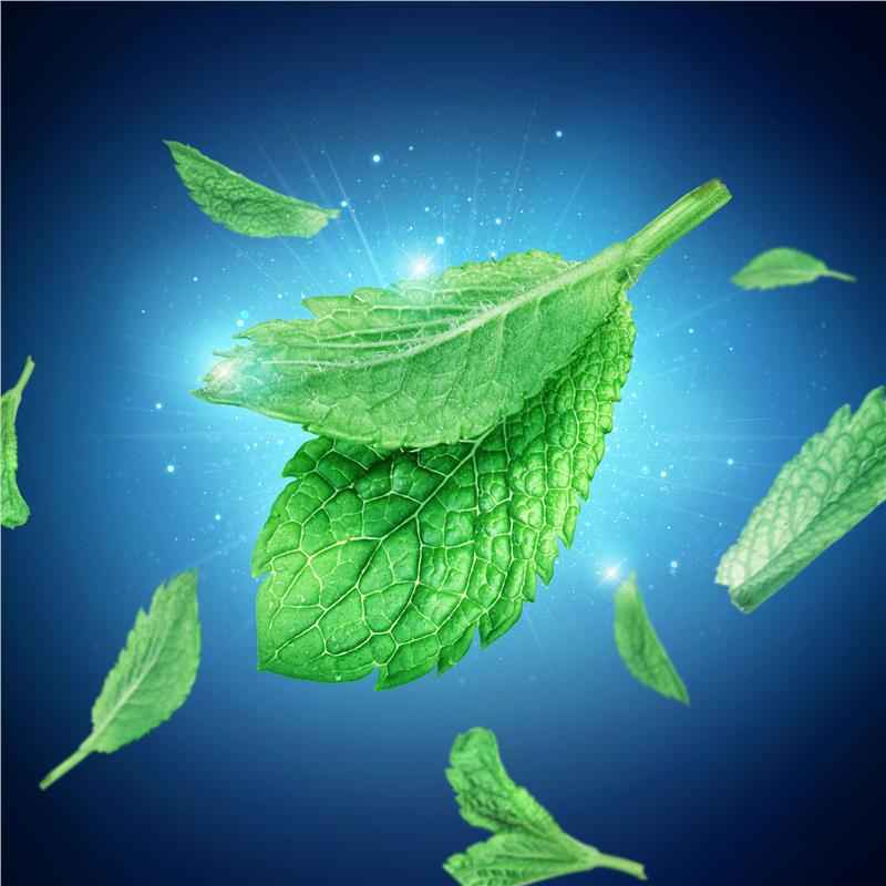Oral B Floss Picks Glide Cool Mint 30 Pack