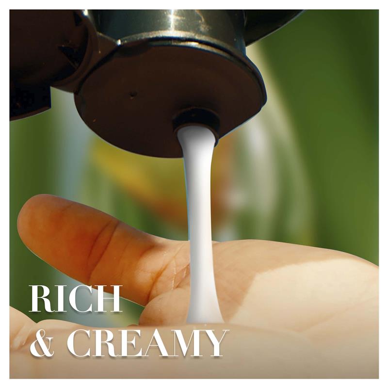 Herbal Essences Bio Renew Repair Argan Oil Conditioner 400ml - GimmeNow