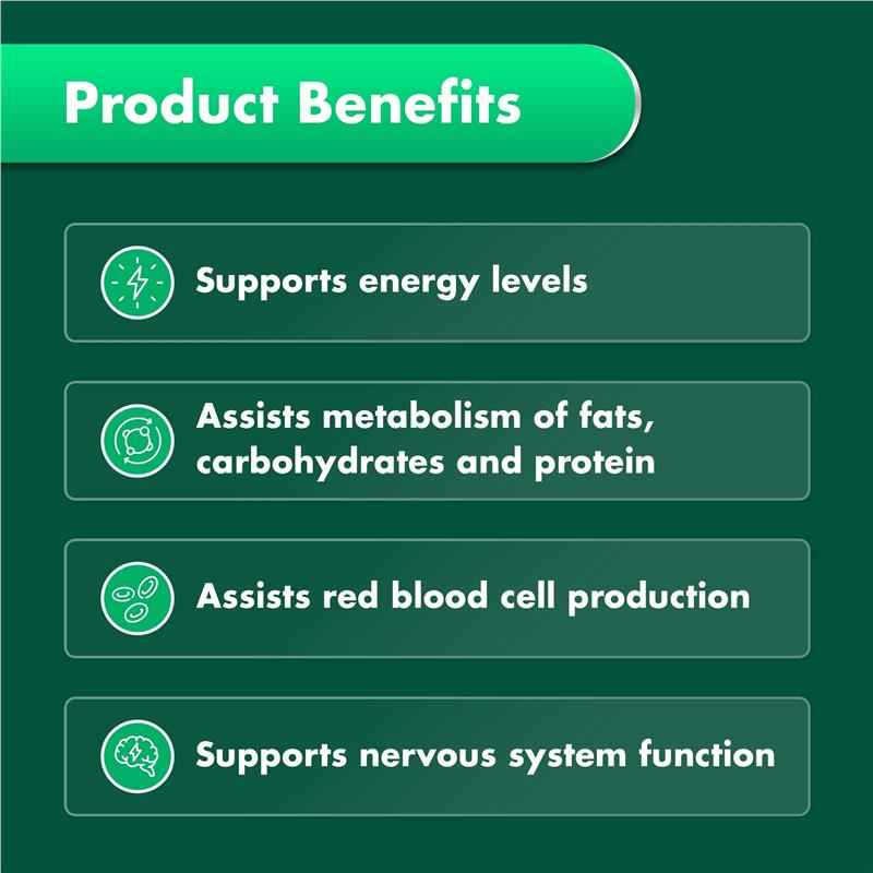 Nature's Own High Strength Vitamin B12 1000mcg 120 Tablets Exclusive Size