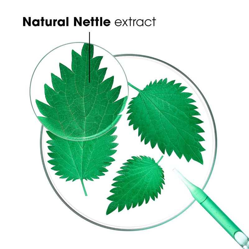 Klorane Shampoo with Organic Nettle 400ml