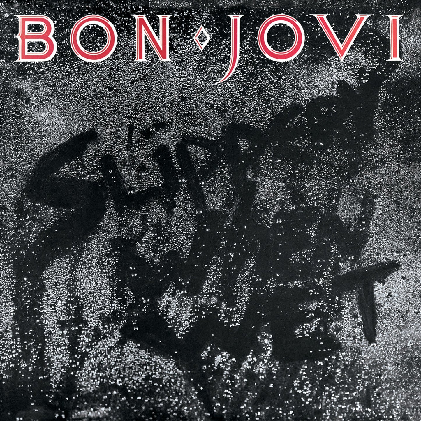 Bon Jovi Slippery When Wet - Vinyl Album & Record Storage Display Stand