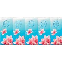 Health & Beauty Pocket Tissues 10 Piece x 10 Pack - GimmeNow