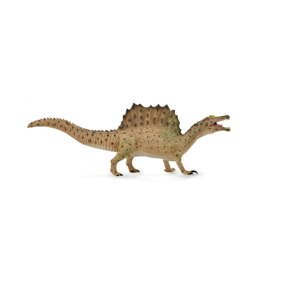Dinosaur Wonders Gift Set 4pcs By CollectA Animal Figurines Dinosaur and Dragon Theme Clearance 3yrs+