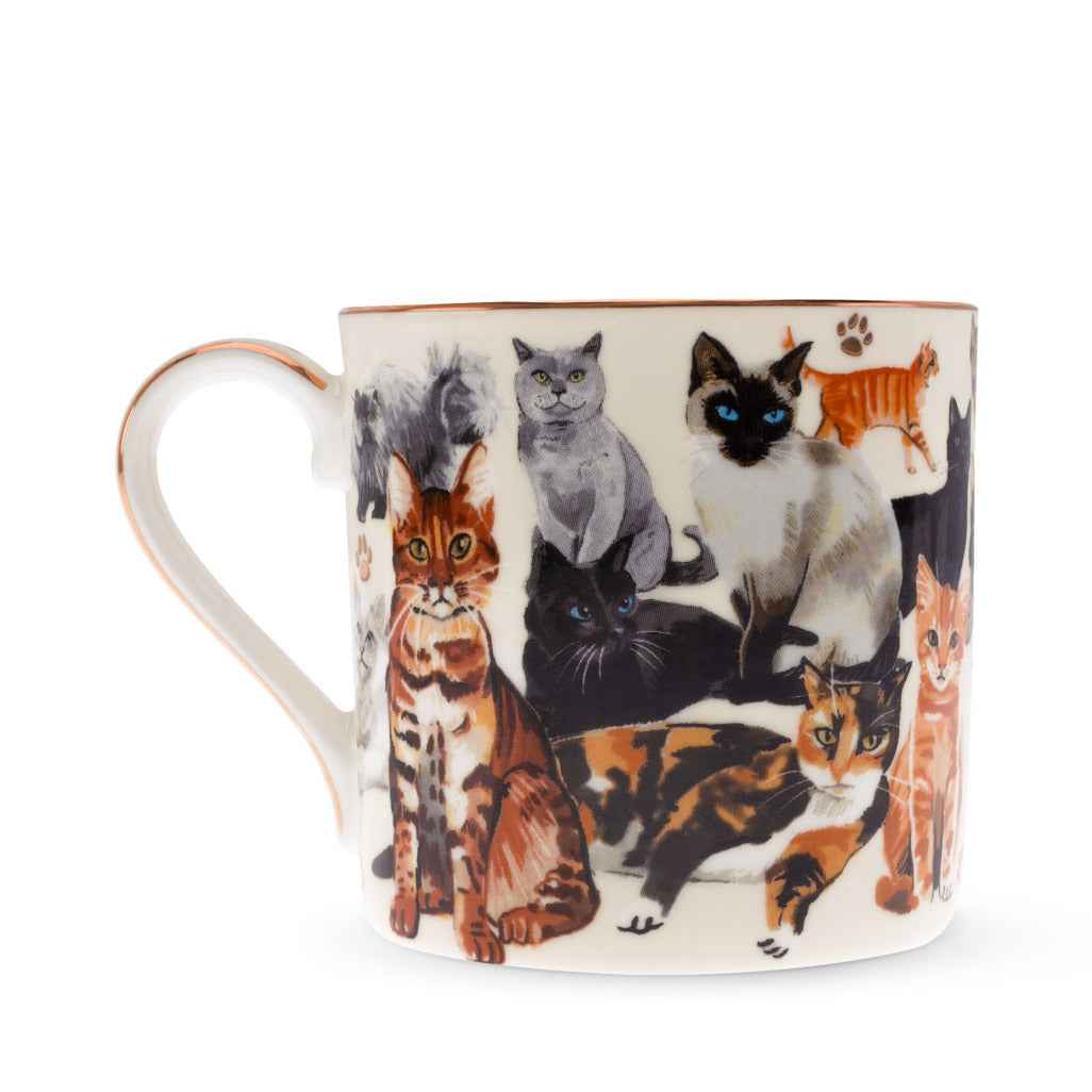 Boxed Mug Paws For Tea Cats