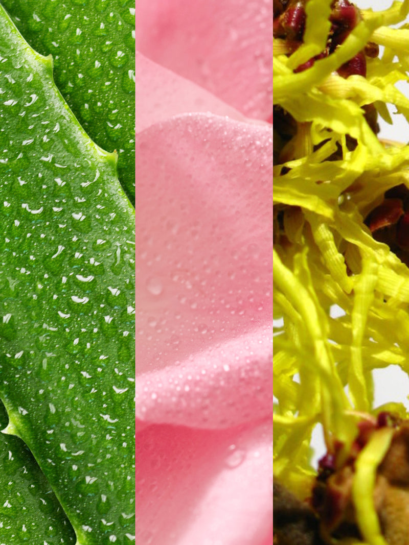 Witch Hazel and Rosewater Toner