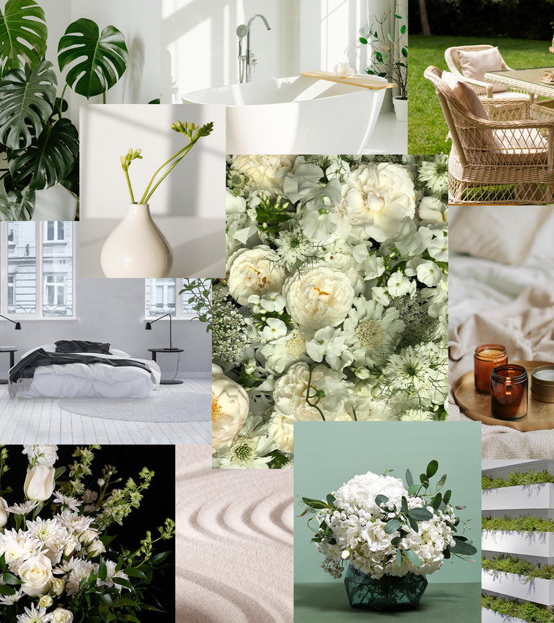 Grapefruit Bloom Scented Reeds