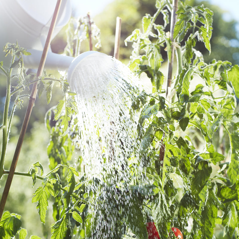 From The Garden Candle