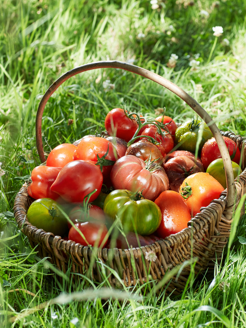 From The Garden Diffuser
