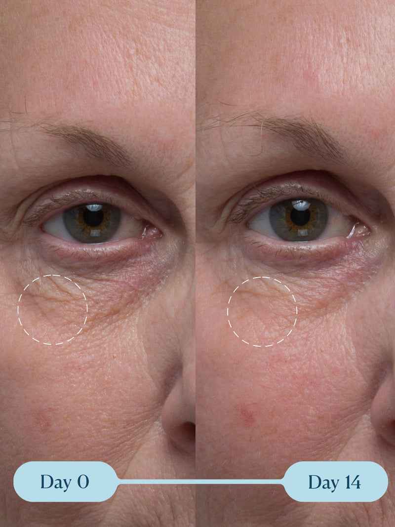 Pro-Collagen Vitality Eye Cream