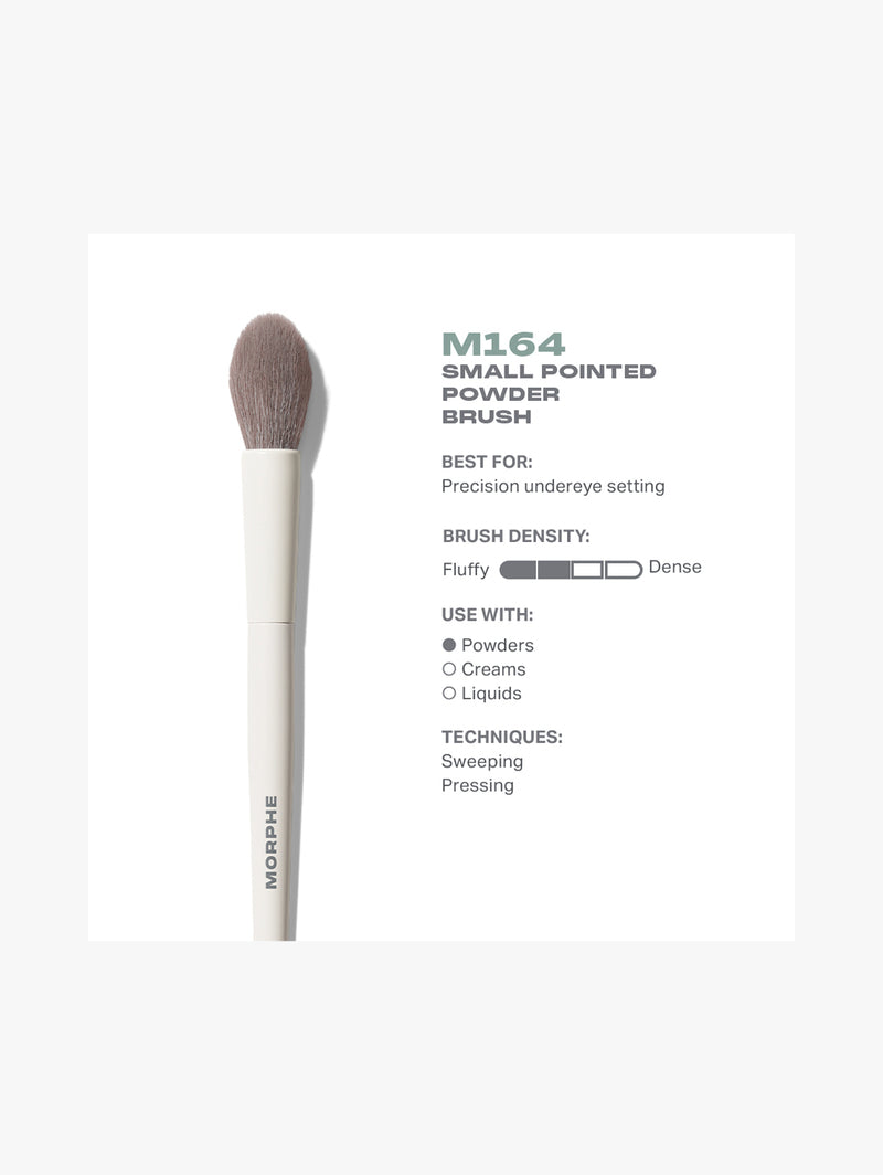 M164 Small Pointed Powder Brush