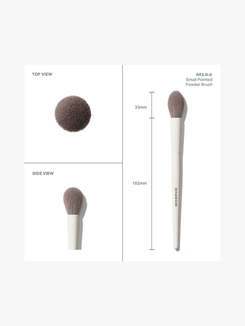 M164 Small Pointed Powder Brush
