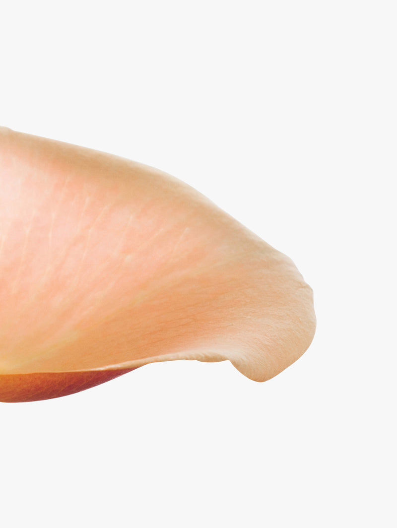 Cashmere Kumquat Showergel