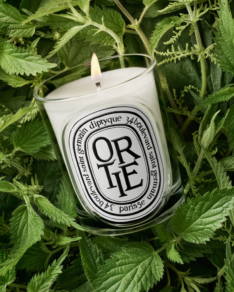 Ortie Candle