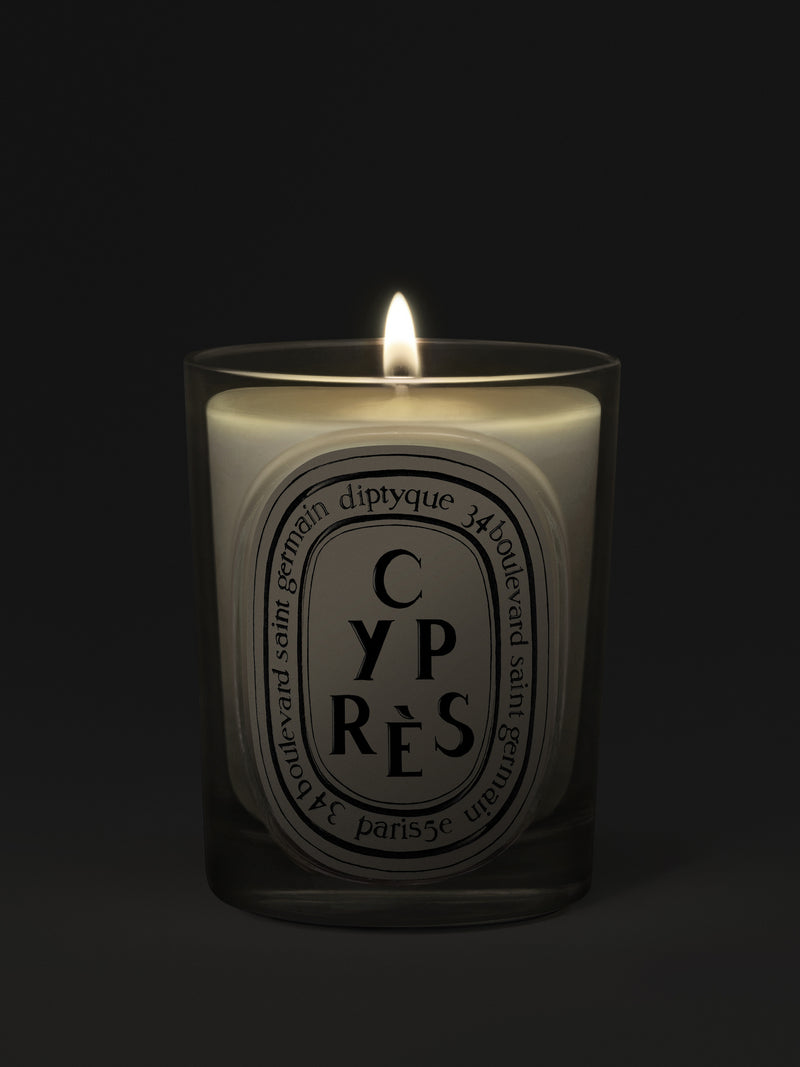 Cyprès Candle