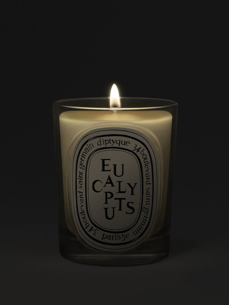 Eucalyptus Candle
