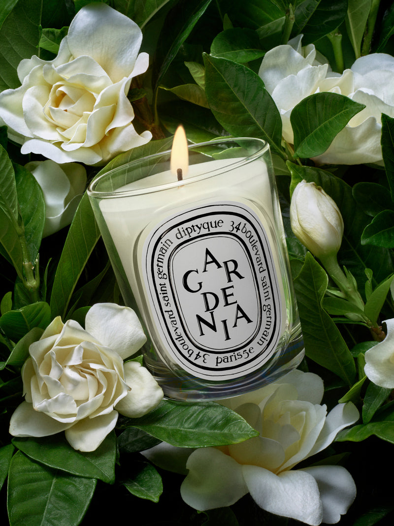 Gardenia Candle
