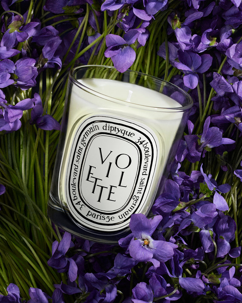 Violette Candle