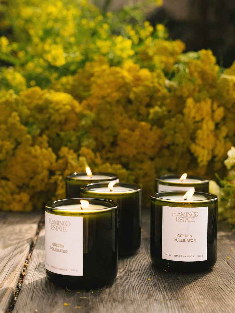 The Golden Pollinator Candle