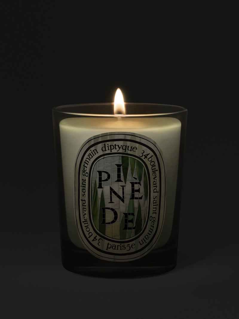 Pinède Candle