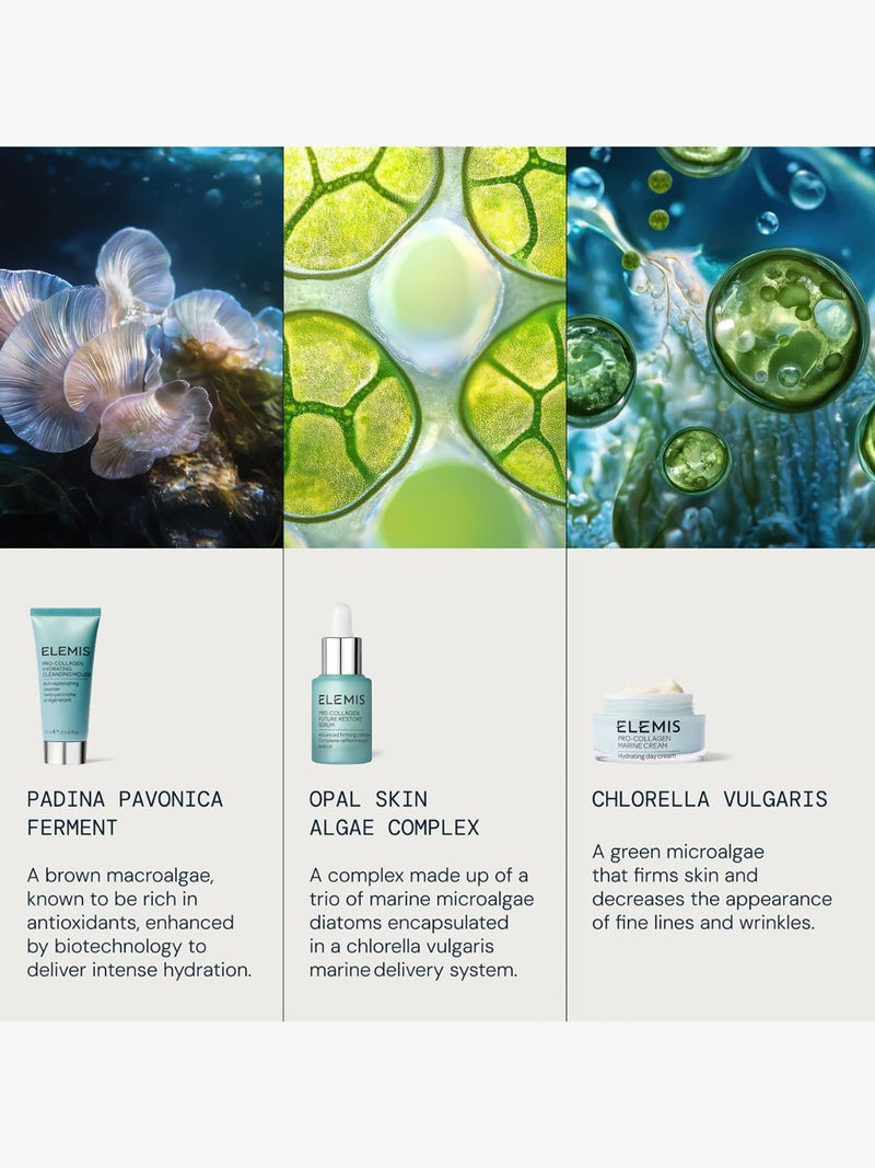 Power Of Pro-Collagen Discovery Collection
