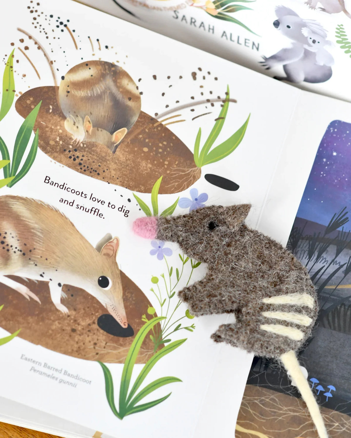 Tara Treasures Felt Jumping Joeys Finger Puppet and Kids Book Set Felt Animals Pretend and Imaginative Play Best Seller 3yrs+