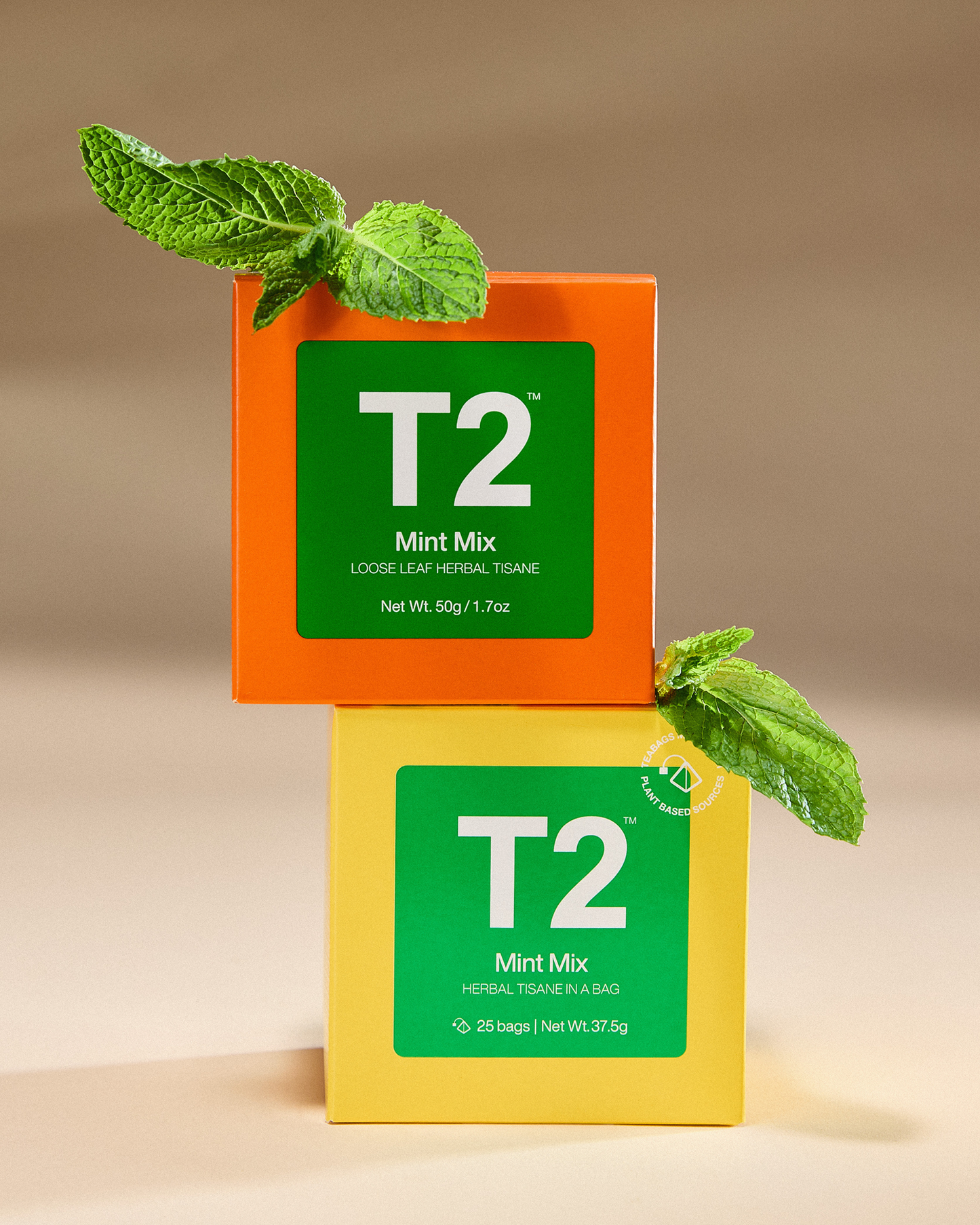 Mint Mix Loose Leaf Cube 50g