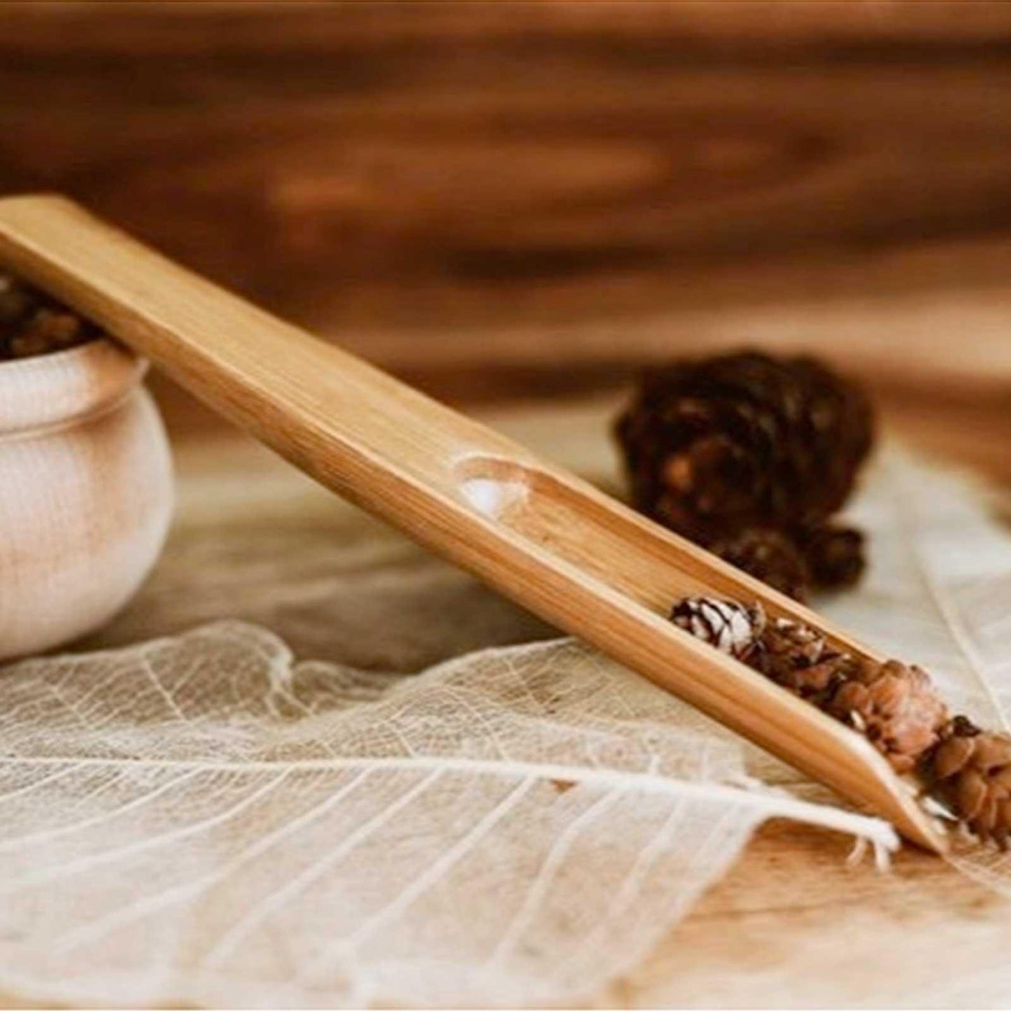 Explore Nook Bamboo Scoop Montessori Practical Life Materials Wooden Tools 3yrs+