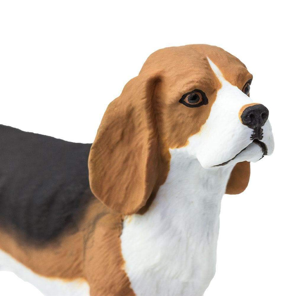 Beagle Dog Figurine by Safari Ltd Farm Collection Animal Figurines 3yrs+