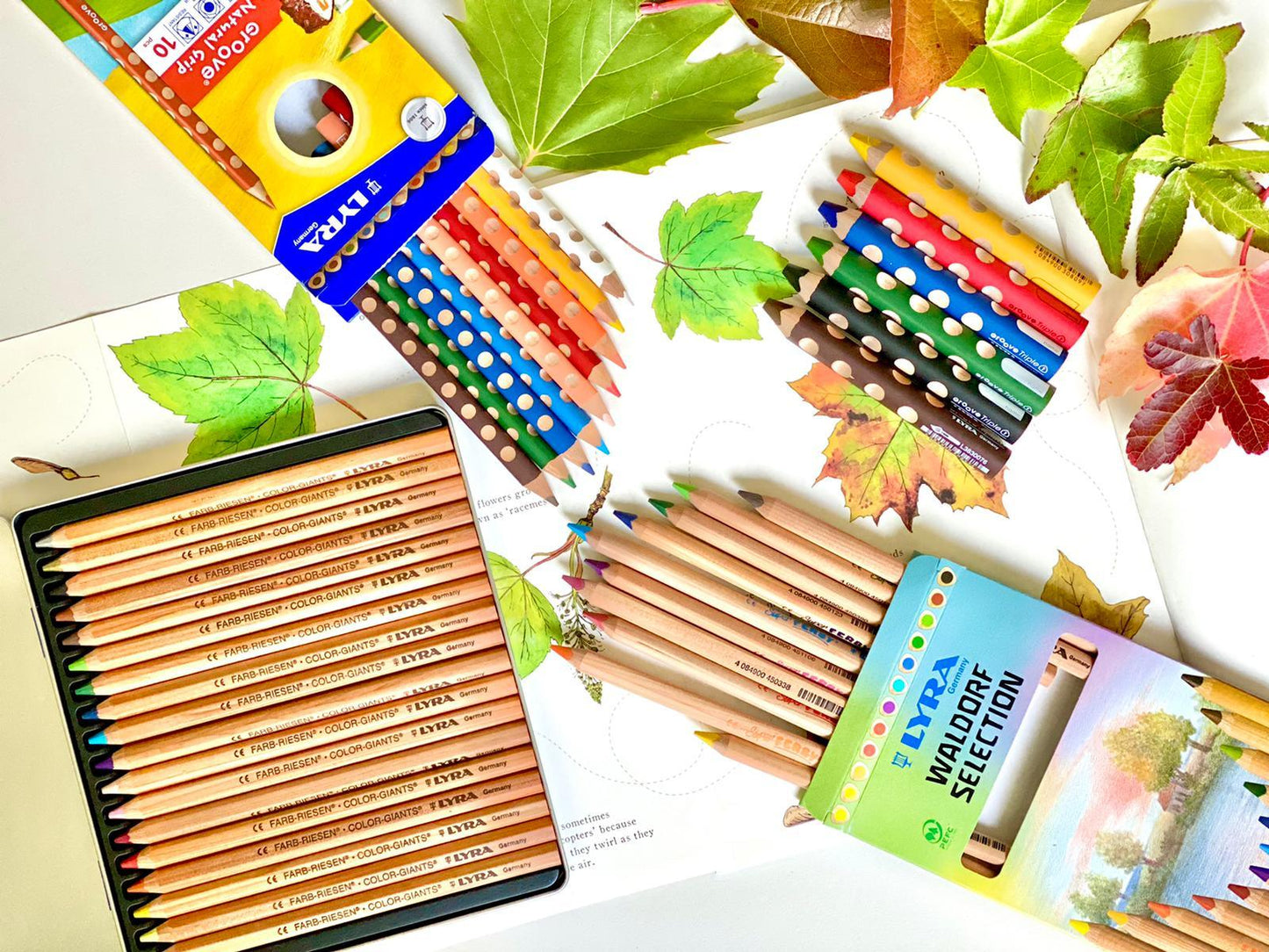 Lyra Colour Giant Pencils Unlacquered in a Tin Waldorf Education Inspired 18 Colours Stationary Art and craft for kids 3yrs+