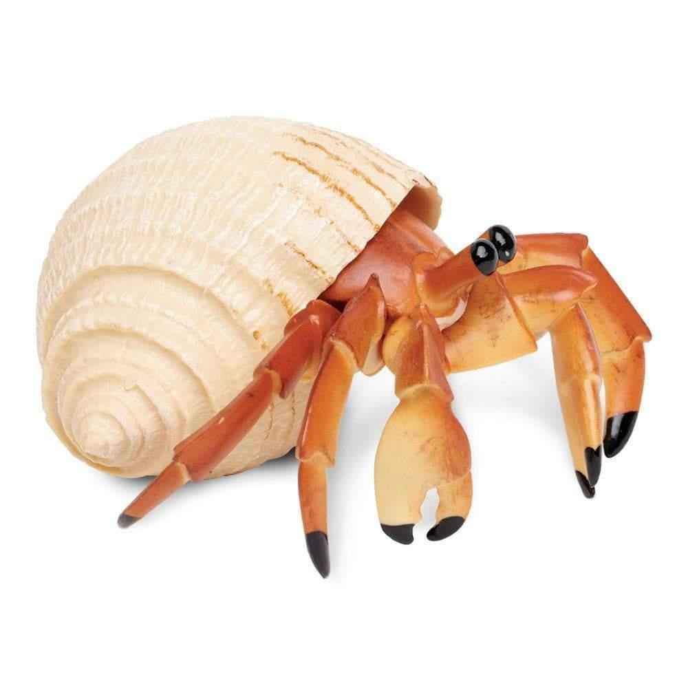 Hermit Crab Figurine by Safari Ltd Sea Life Collection Animal Figurines 3yrs+