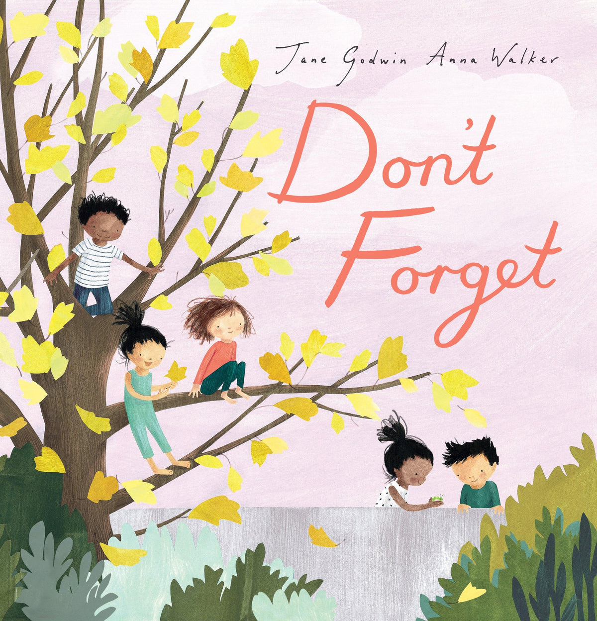 Don't Forget (Hardcover) by Anna Walker and Jane Godwin - Australian Author