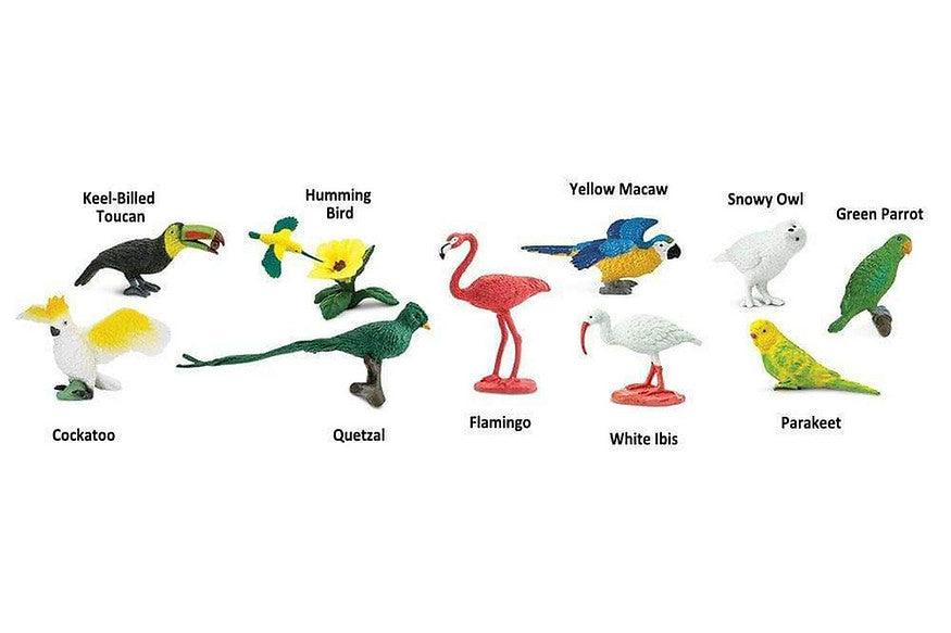Tube of 11 Exotic Birds Montessori Language Learning Figurines by Safari Ltd Toob Range Discontinued 3yrs+